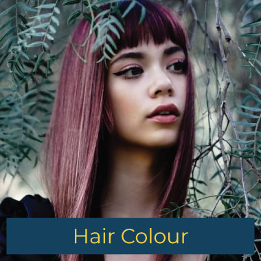 Hair Colour Hair Colour